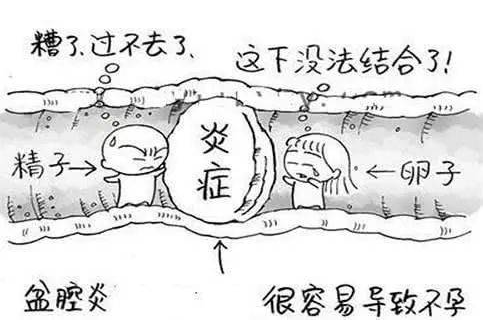 全自动妇科阴道分泌物午夜小视频网站检测辨别妇科炎症复杂多样！